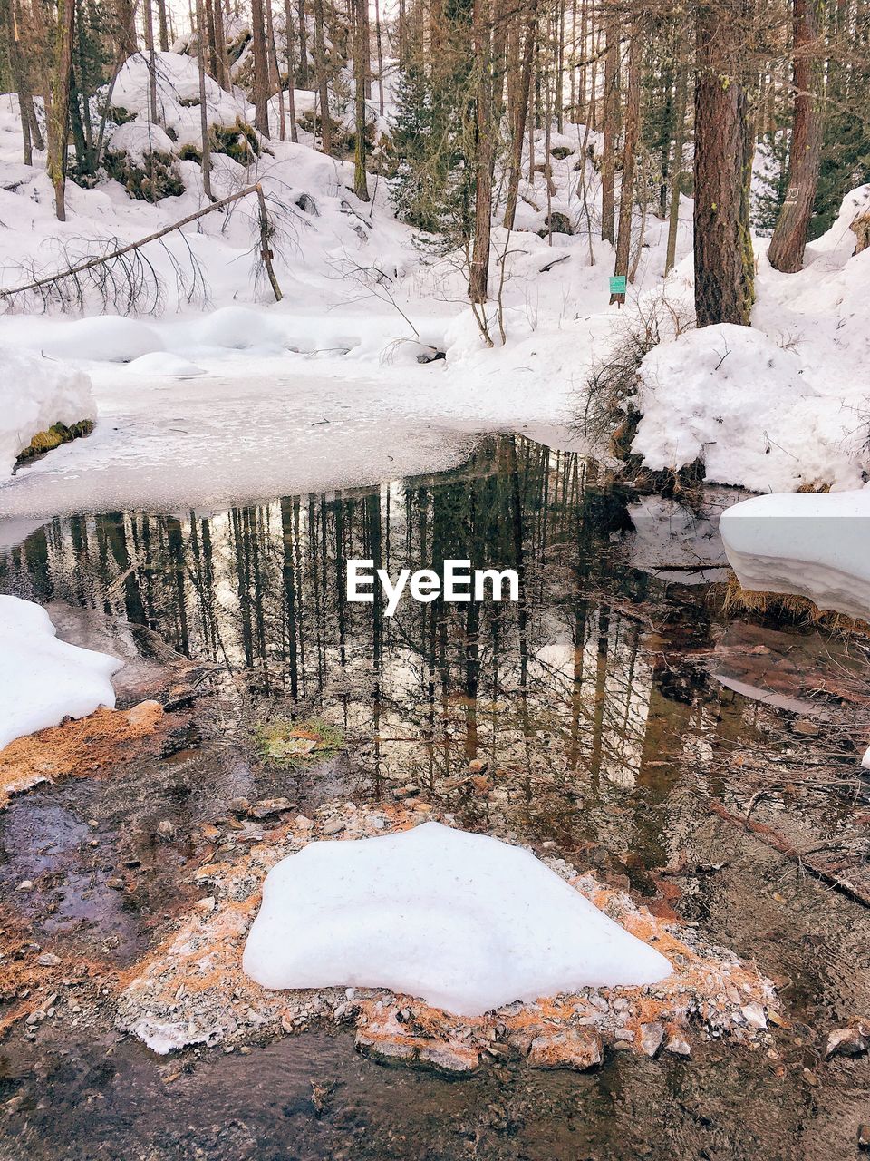 High angle view of river in forest during winter
