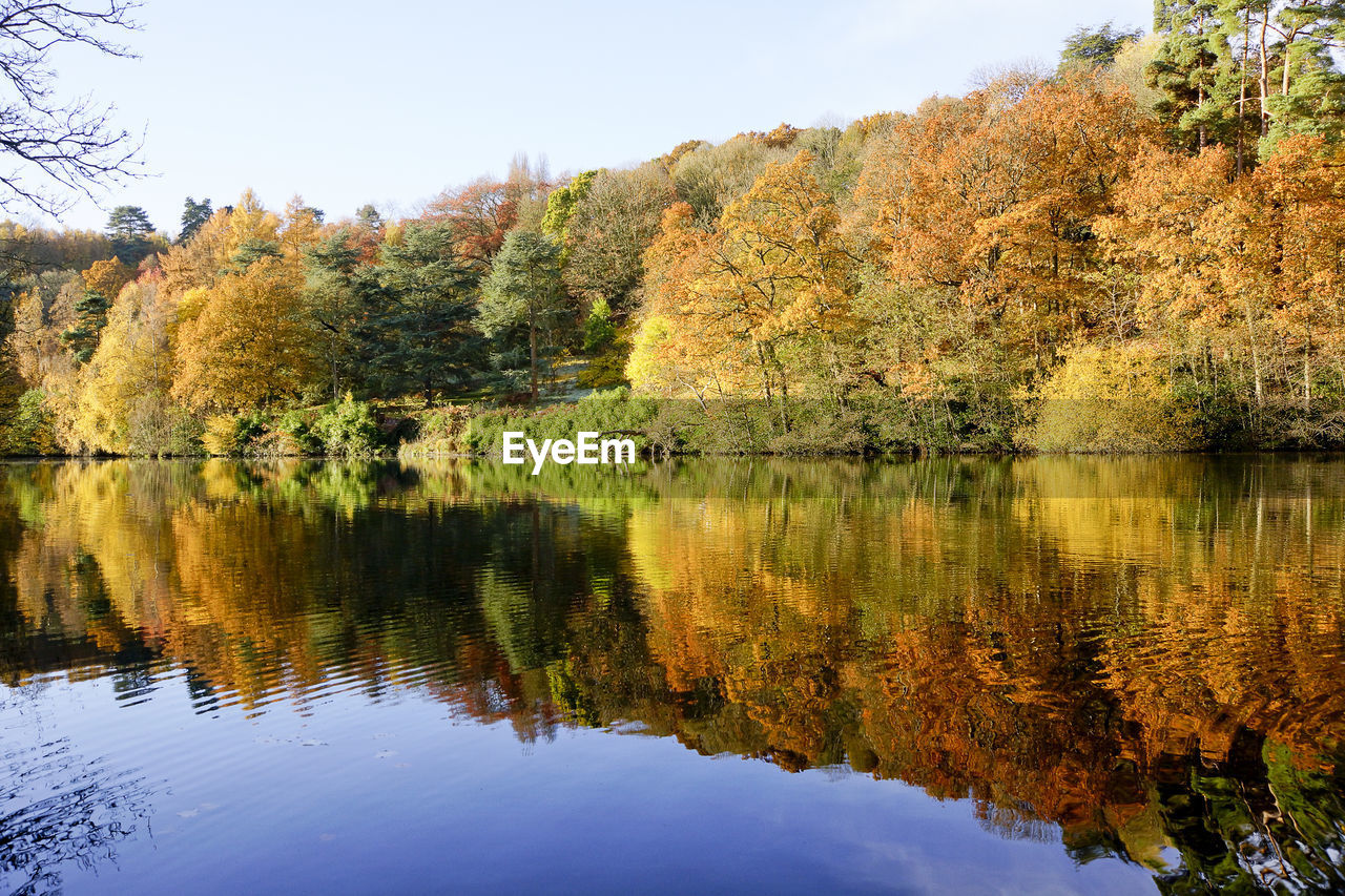Reflection of trees on lake against sky