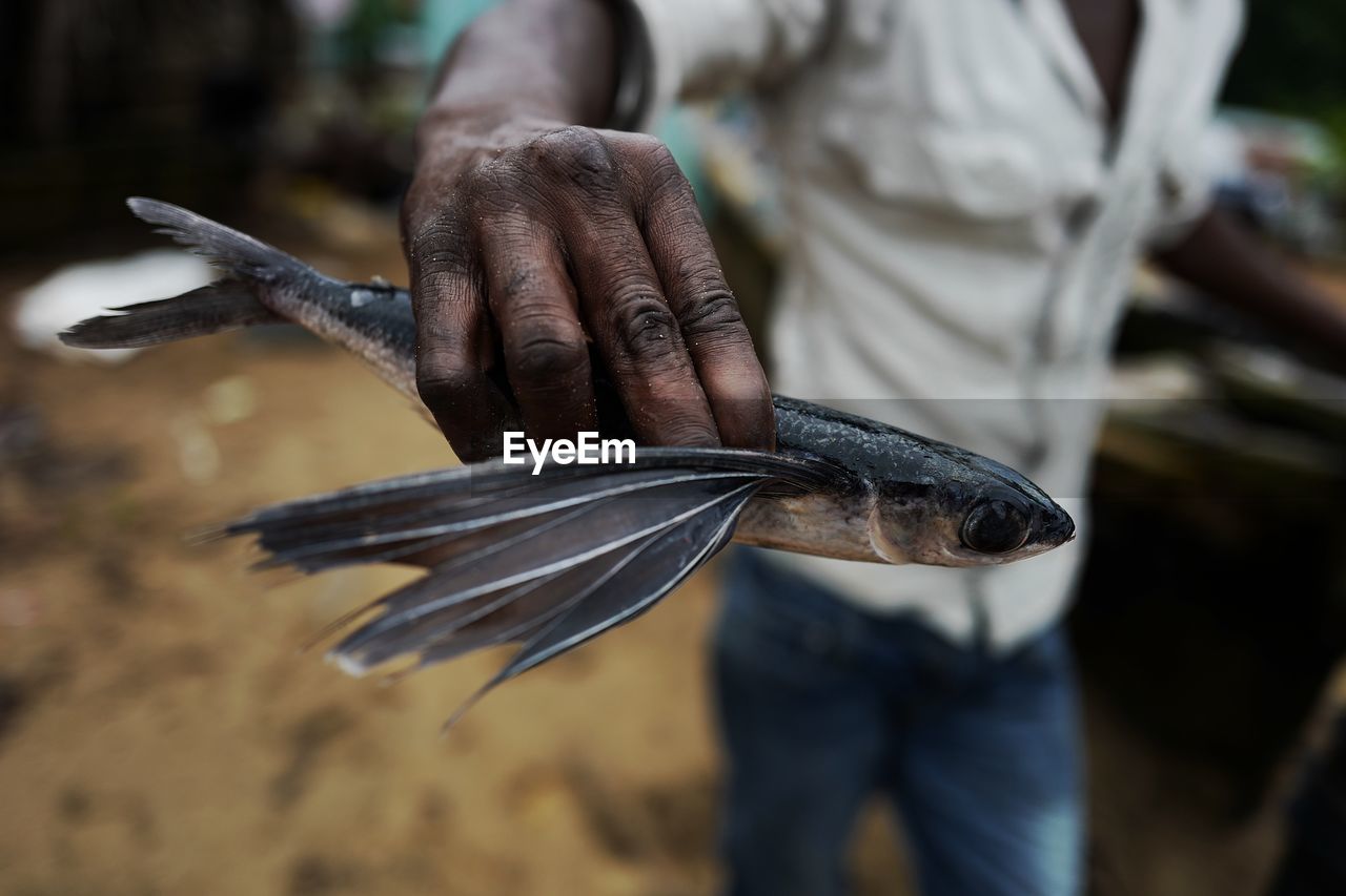 Close-up of fisherman holding fish