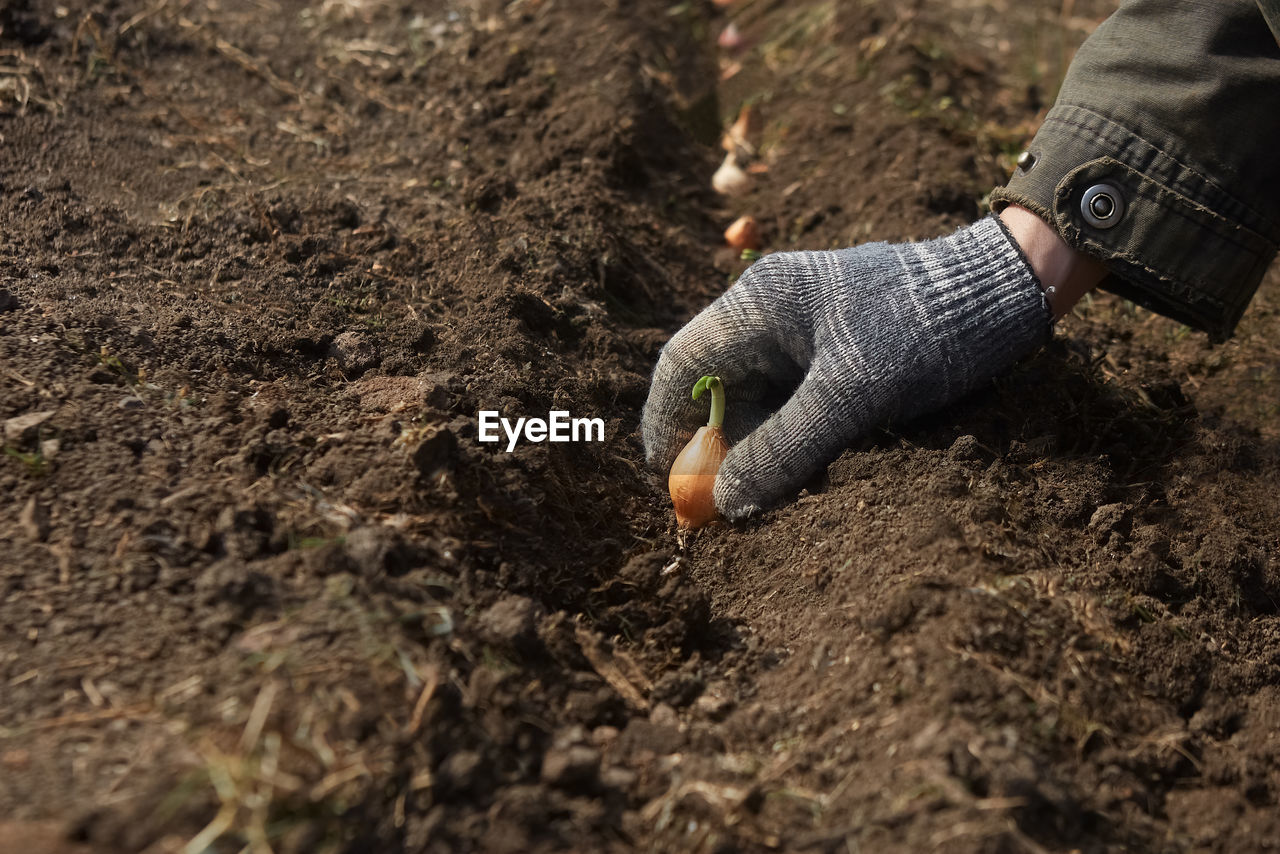 soil, dirt, one person, nature, hand, land, gardening, agriculture, day, adult, selective focus, mud, outdoors, lifestyles, field, occupation, plant