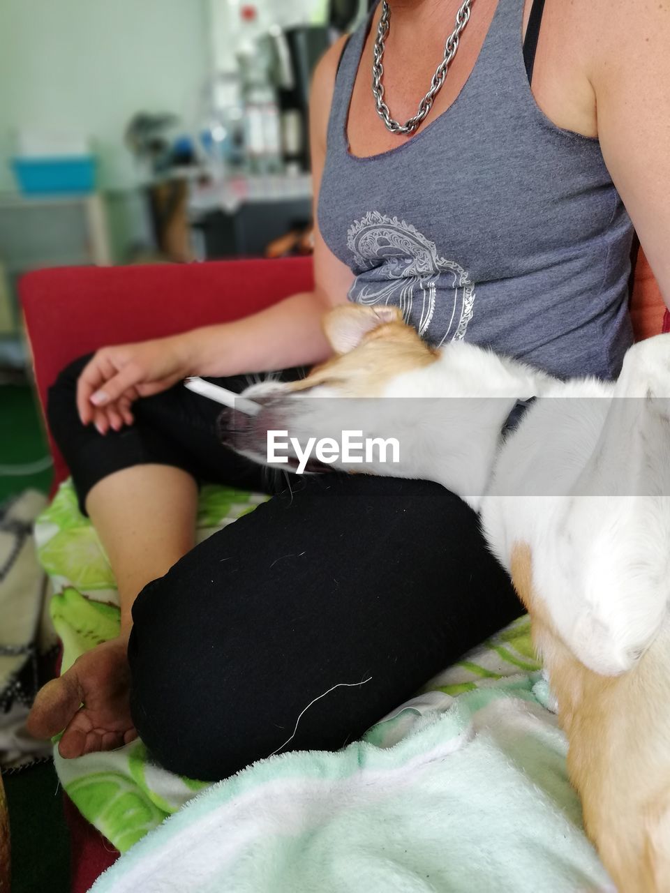MIDSECTION OF WOMAN WITH DOG ON SOFA AT HOME