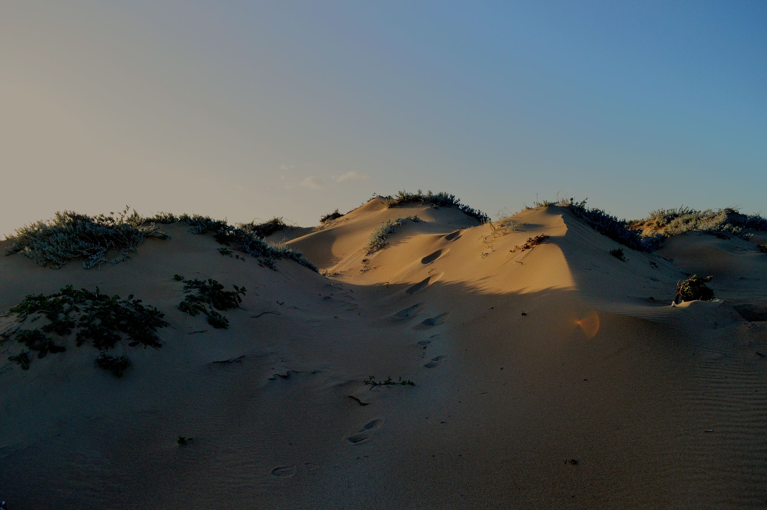 Sand Dune Sand Nature No People Sky Animal Wildlife Eyeem