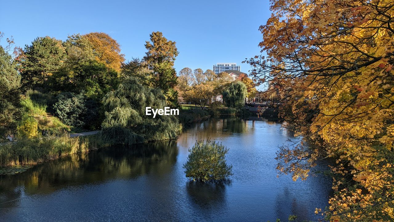 tree, reflection, autumn, water, plant, nature, beauty in nature, leaf, scenics - nature, river, sky, tranquility, no people, landscape, environment, flower, tranquil scene, forest, land, outdoors, body of water, travel destinations, day, blue, non-urban scene, clear sky, idyllic, plant part, pond, growth, park, travel, pinaceae, tourism, woodland