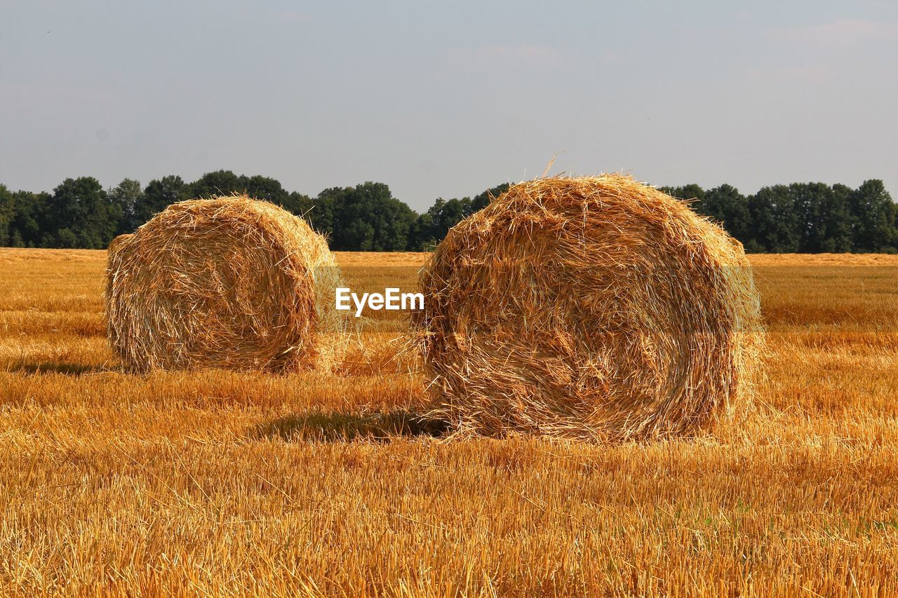 Hay bales on field against sky