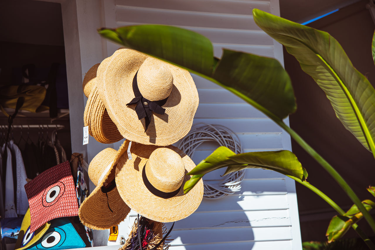 hat, cowboy hat, sombrero, sun hat, yellow, nature, fashion accessory, art, straw hat, no people, cartoon, plant, holiday, clothing, outdoors, travel, flower