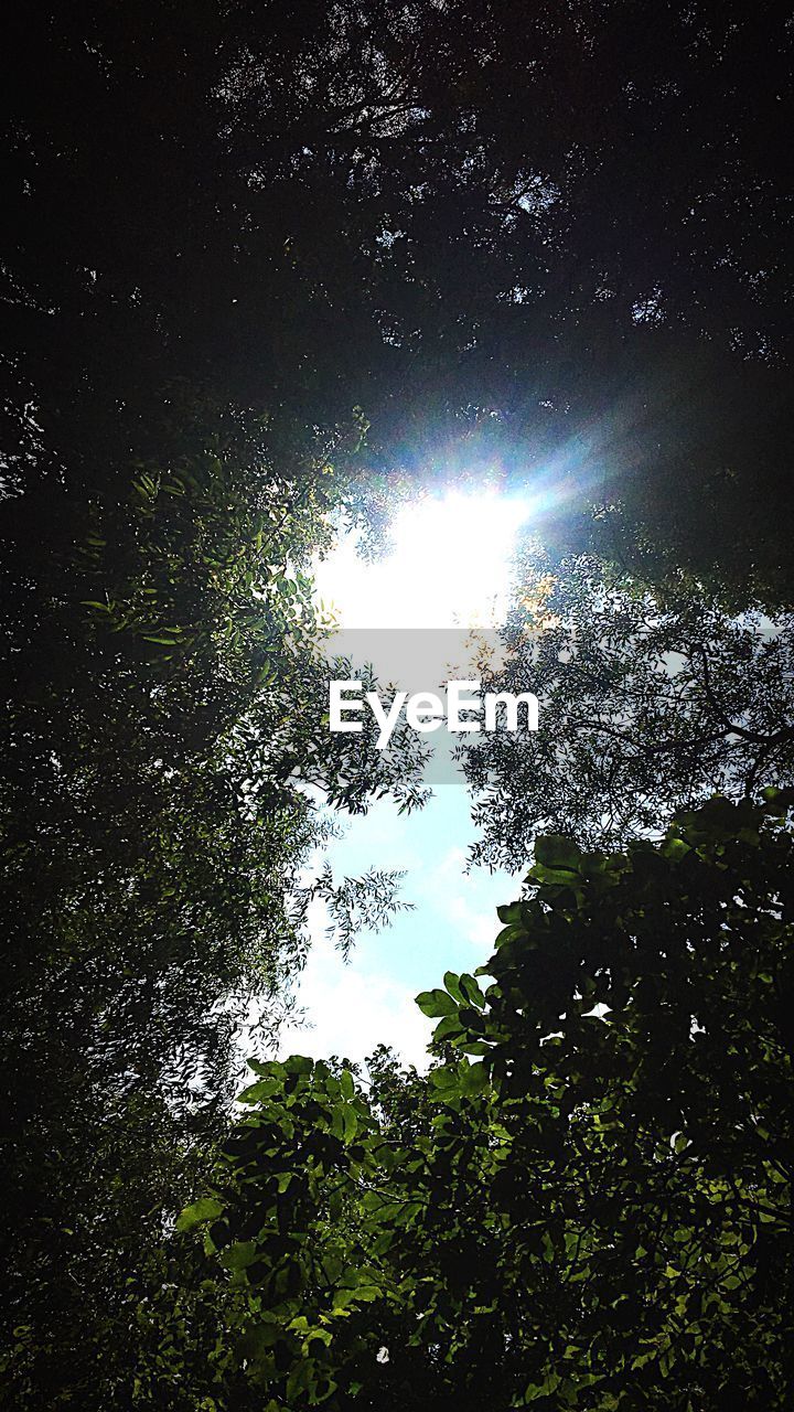 Water Nature No People Plant Beauty In Nature Tree Eyeem