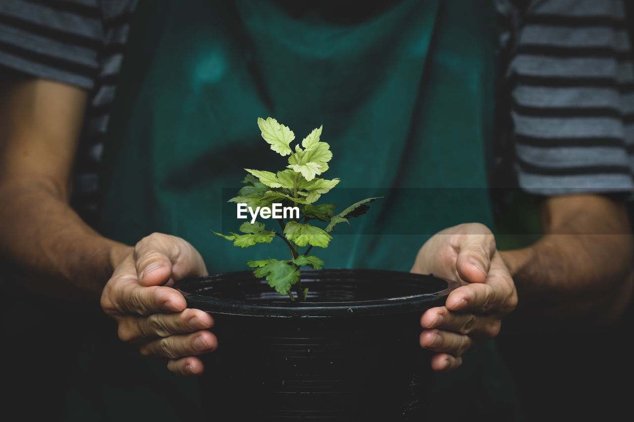 Midsection of man holding flower pot