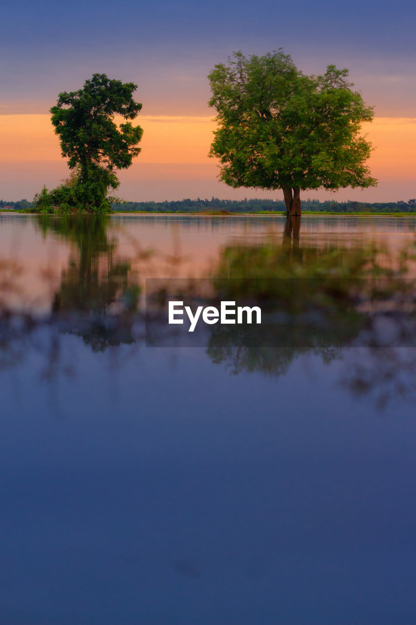 SCENIC VIEW OF LAKE BY TREES AGAINST SKY DURING SUNSET