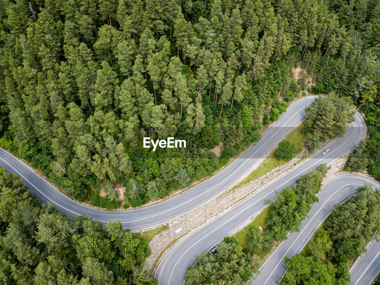 aerial view of road amidst trees