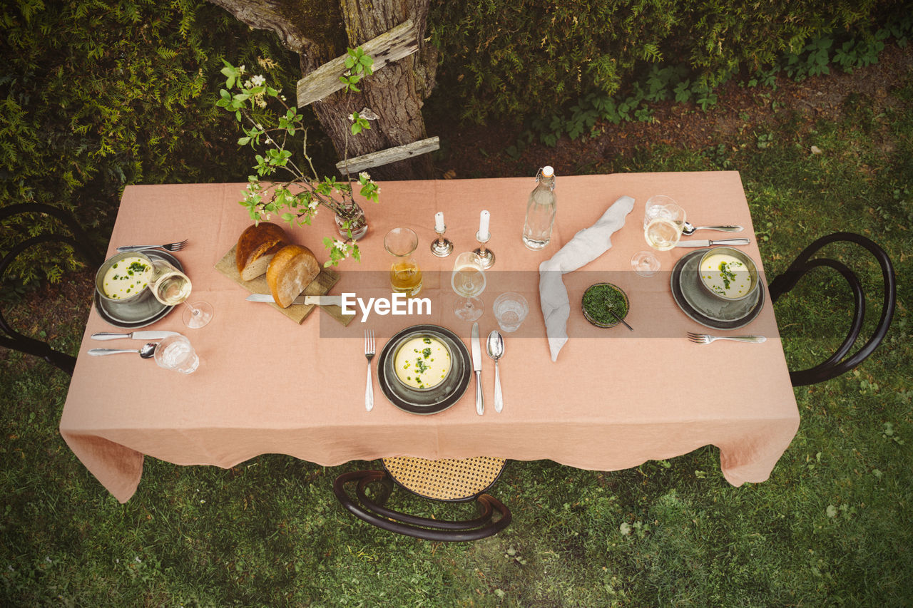 High angle view of asparagus soup with bread on table with wine under plum tree
