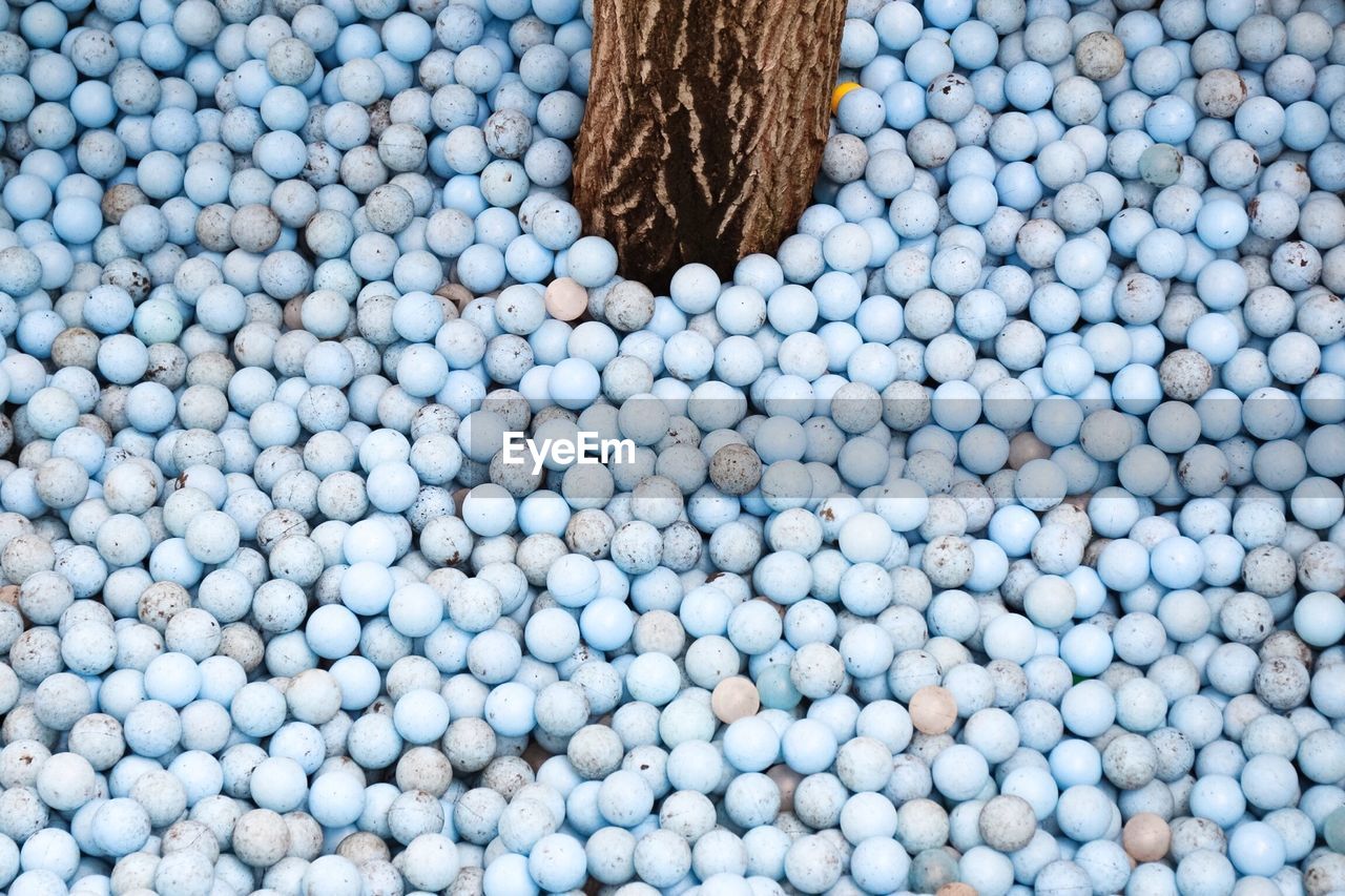 High angle view of tree amidst balls