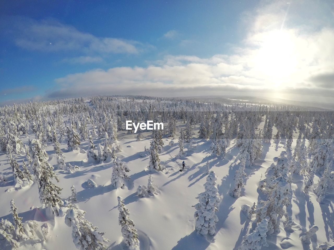AERIAL VIEW OF SNOW COVERED TREES AGAINST SKY