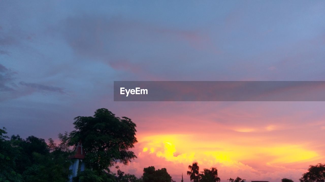 Beautiful Sunset Tree Tree Area Sunset Forest Storm Eyeem