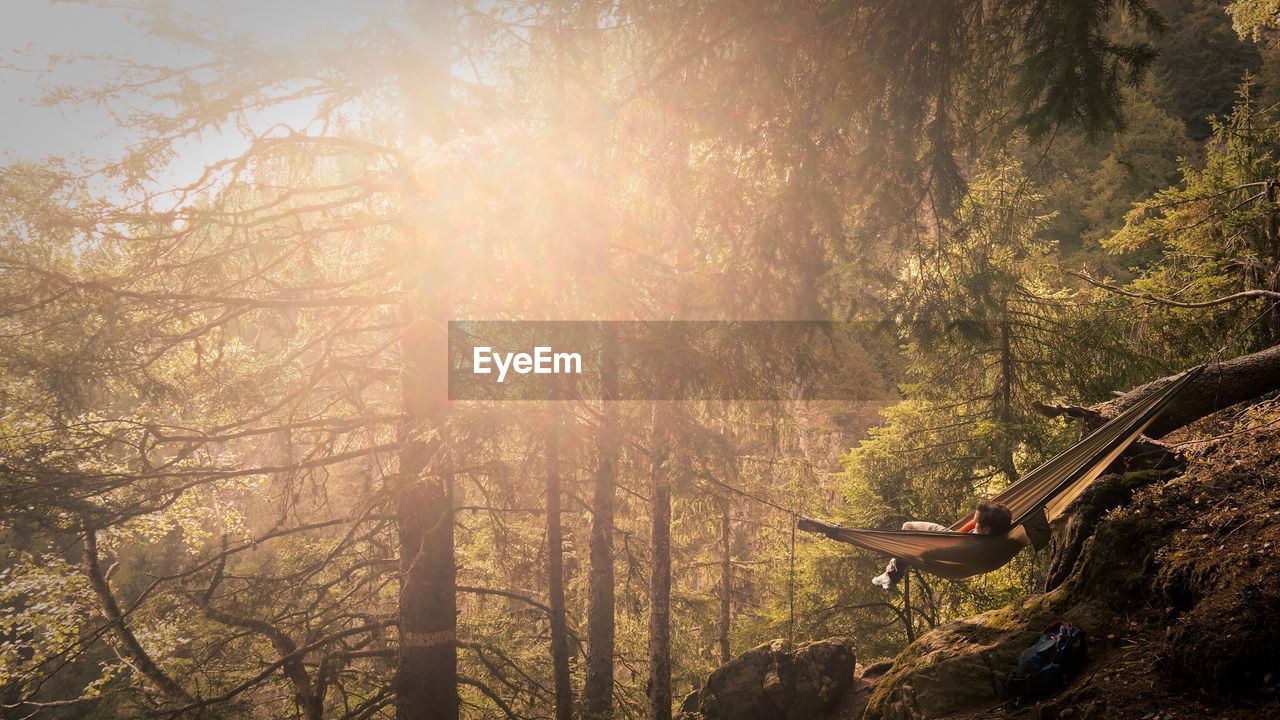 Man relaxing on hammock in forest