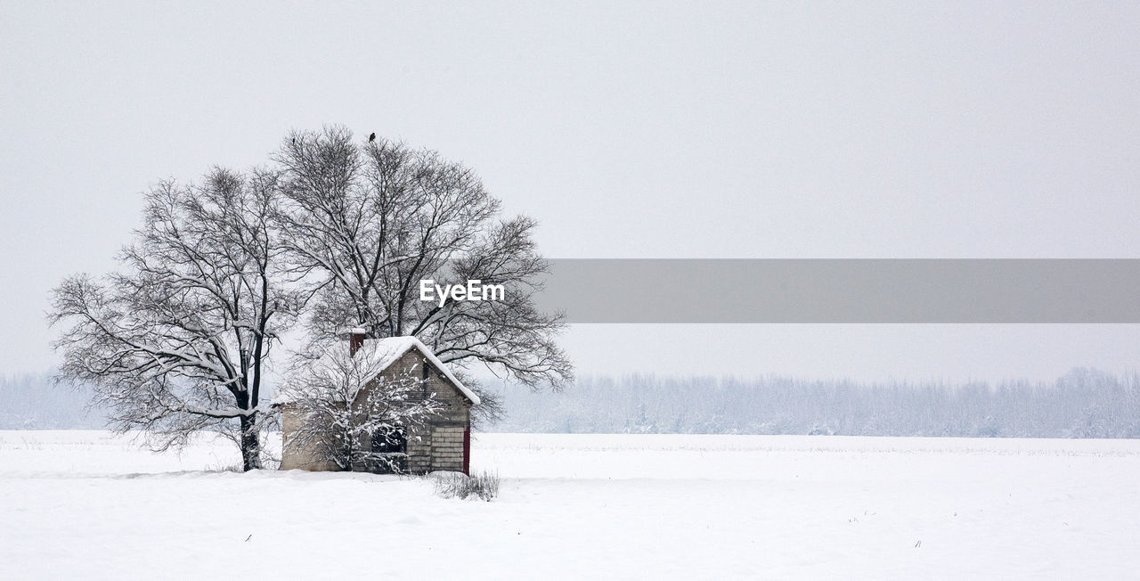 Bare tree and house on snow covered land against sky during winter