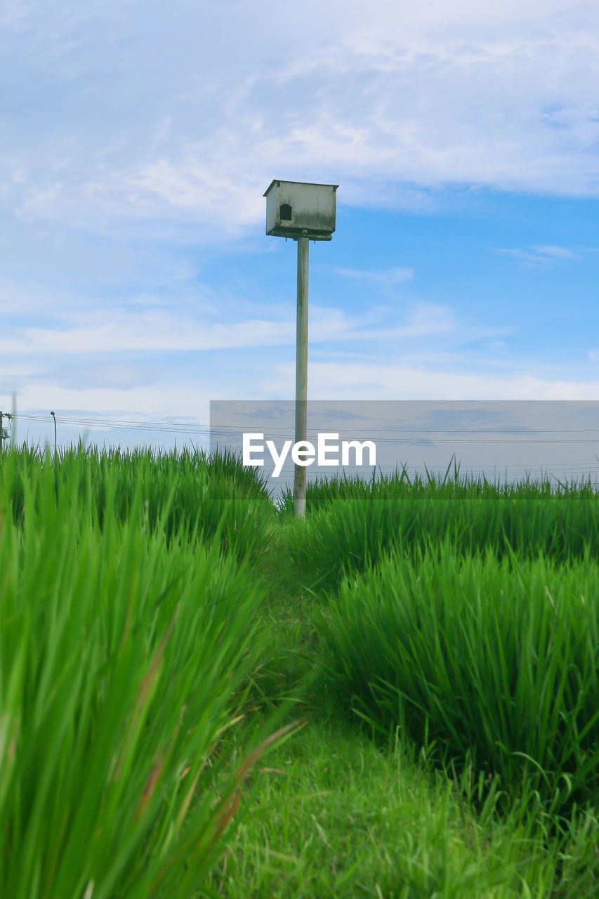 ROAD SIGN ON FIELD AGAINST SKY