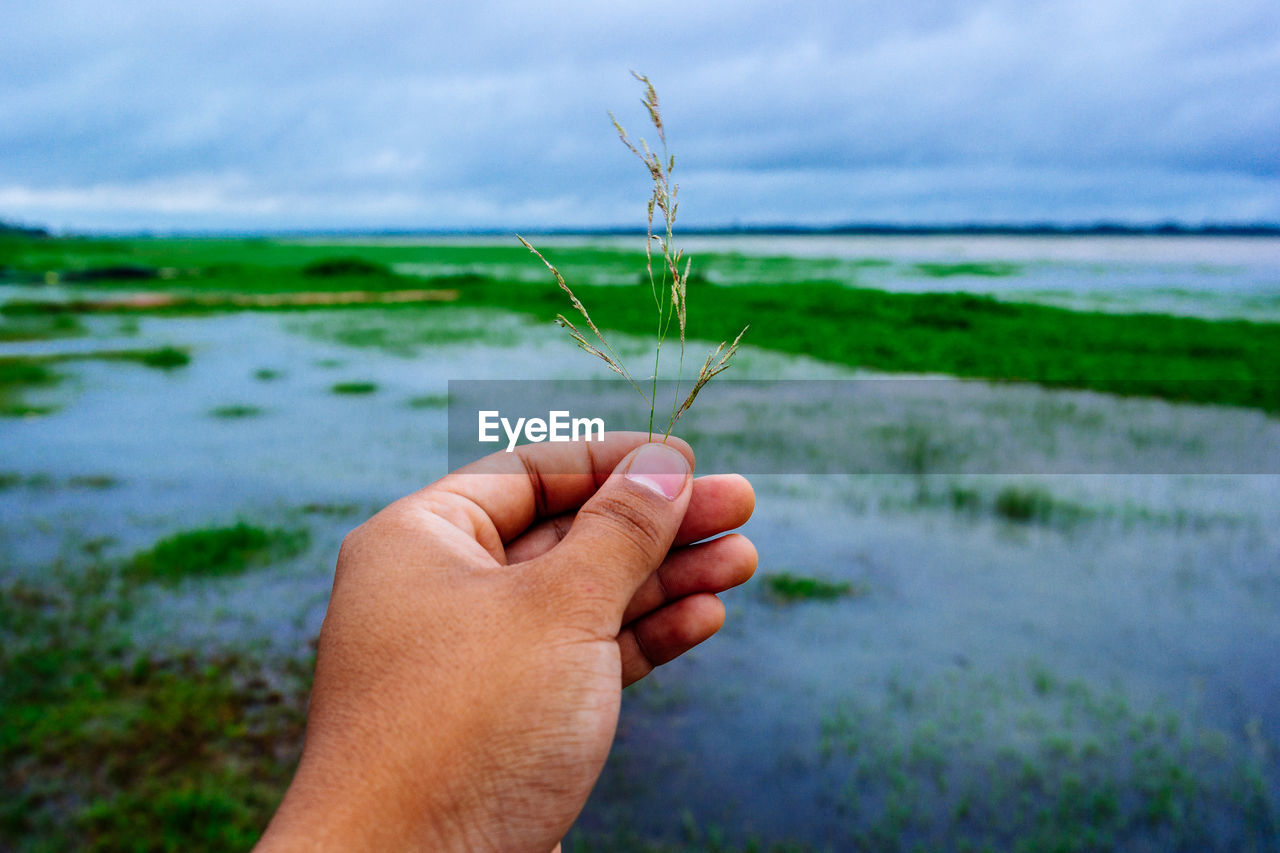 grass, hand, nature, plant, water, sky, one person, focus on foreground, holding, tree, green, personal perspective, beauty in nature, day, land, sea, close-up, cloud, environment, outdoors, finger, flower, landscape, leaf, wind, shore, meadow, rural scene