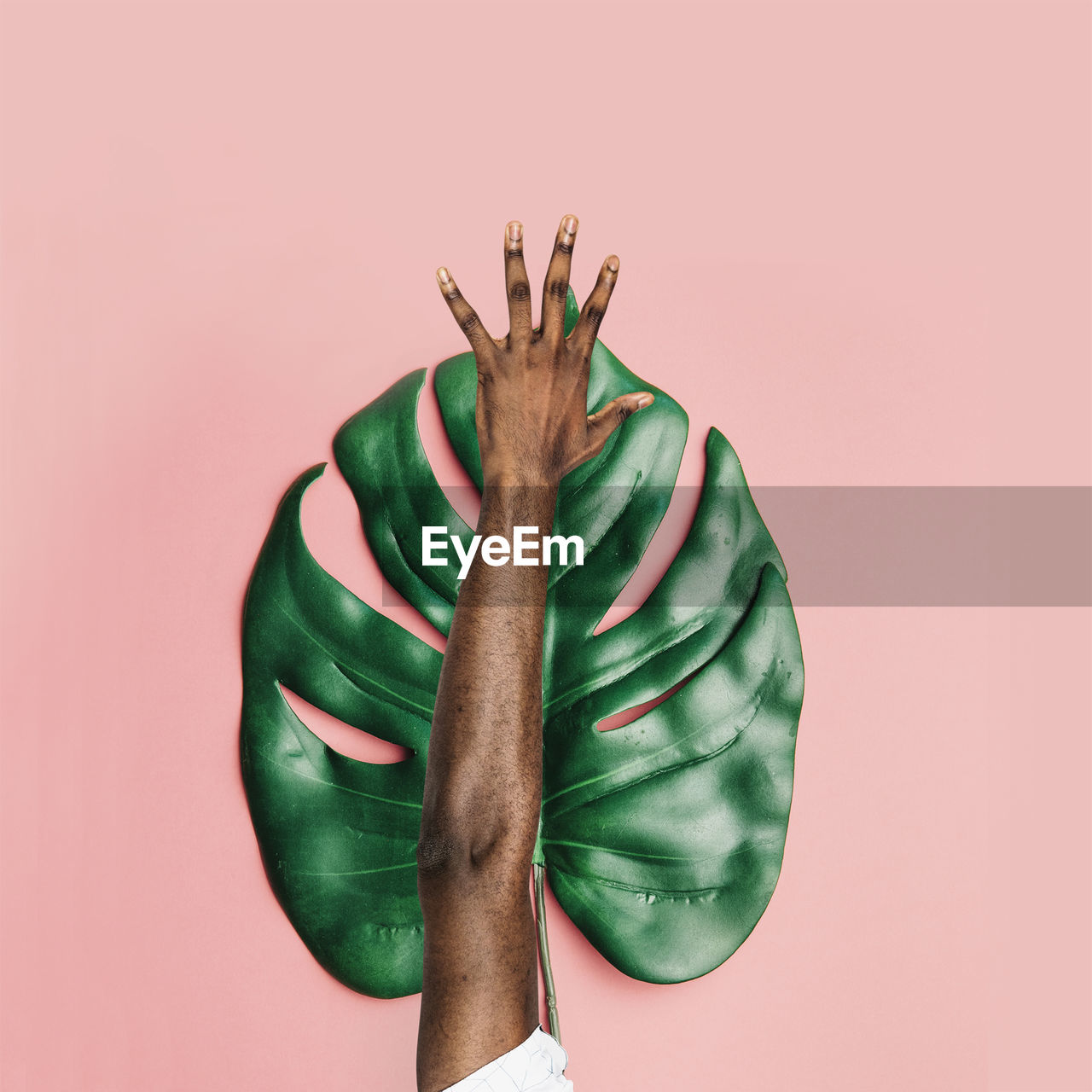 Close-up of man with leaf against pink background