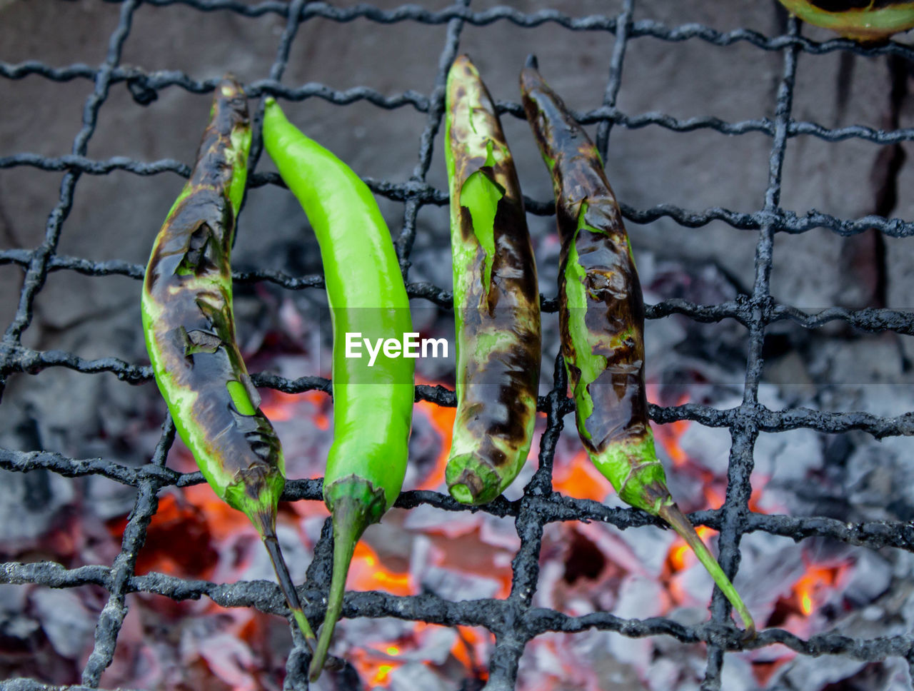 Close-up of green chilies on barbecue grill