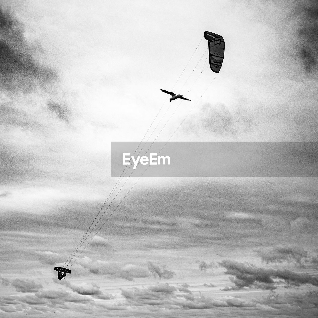 LOW ANGLE VIEW OF PEOPLE PARAGLIDING IN SKY