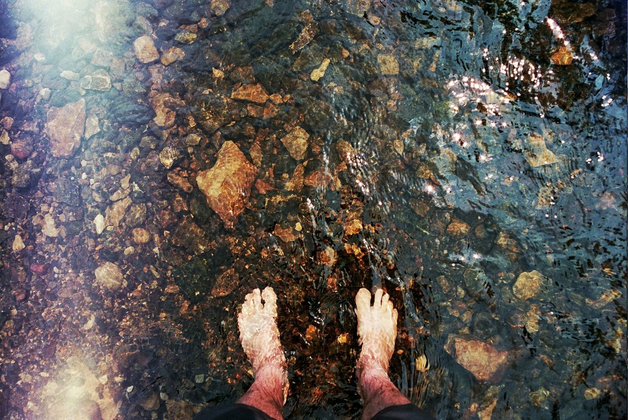 Low section of person standing in stream