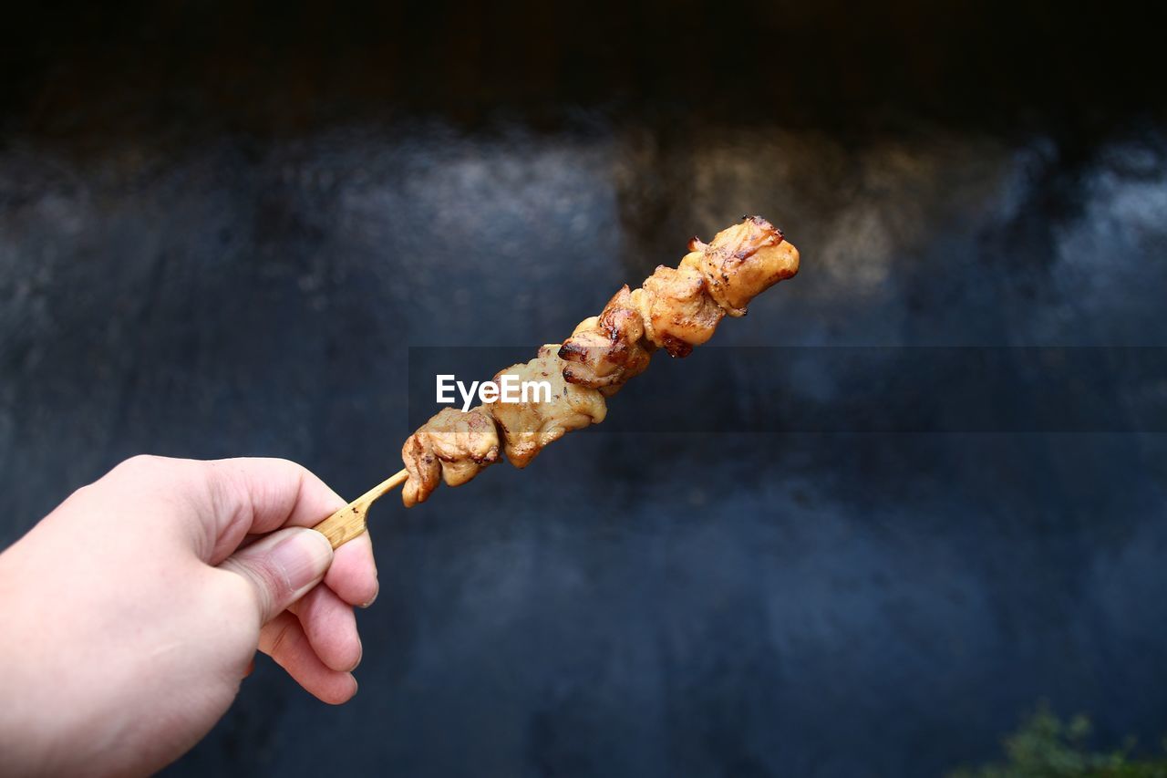 Cropped image of person holding skewer with meat