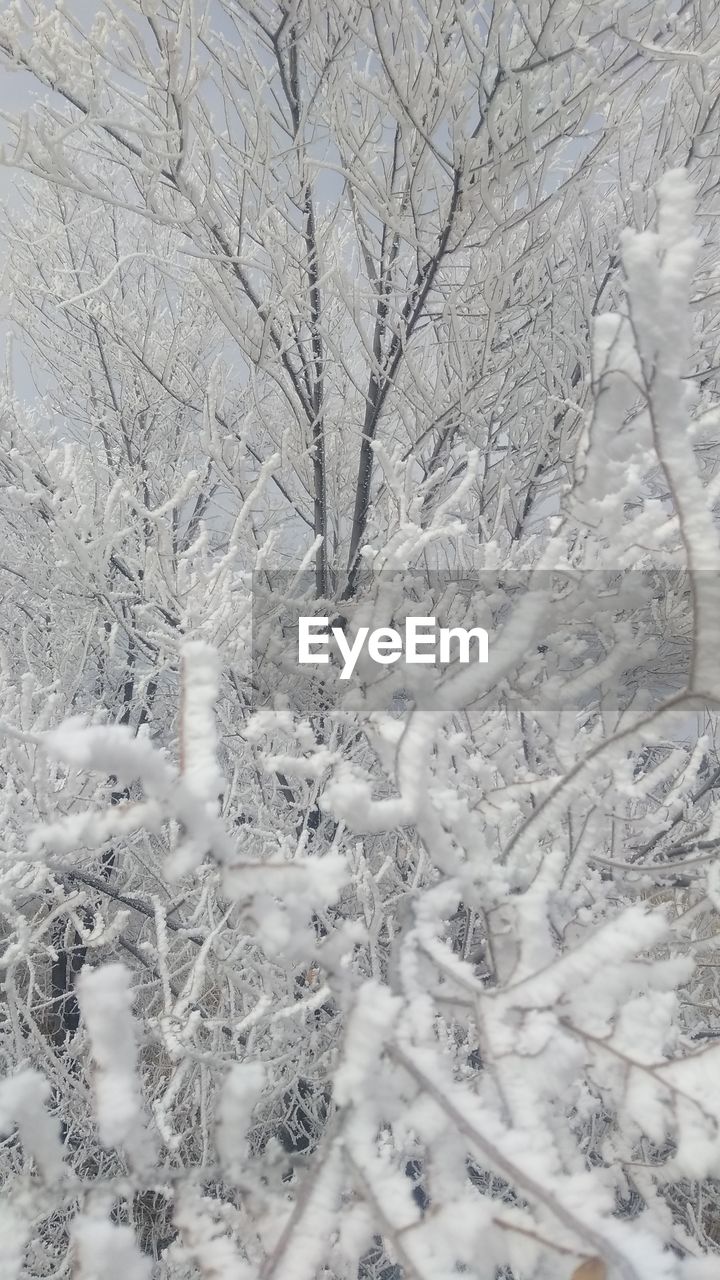 Backgrounds Snow Winter No Filter No Edit Just Eyeem