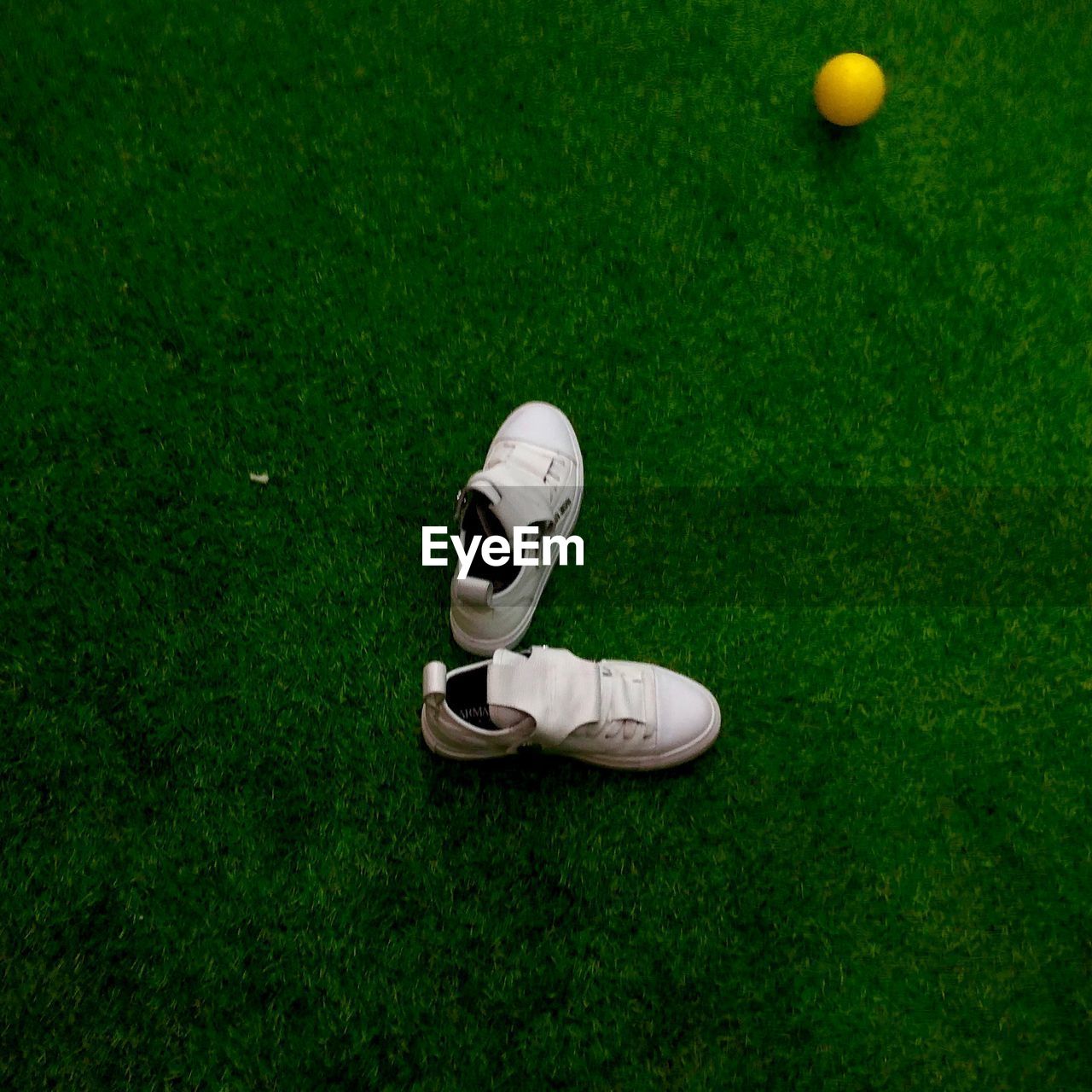 HIGH ANGLE VIEW OF BALL PLAYING ON GREEN GRASS