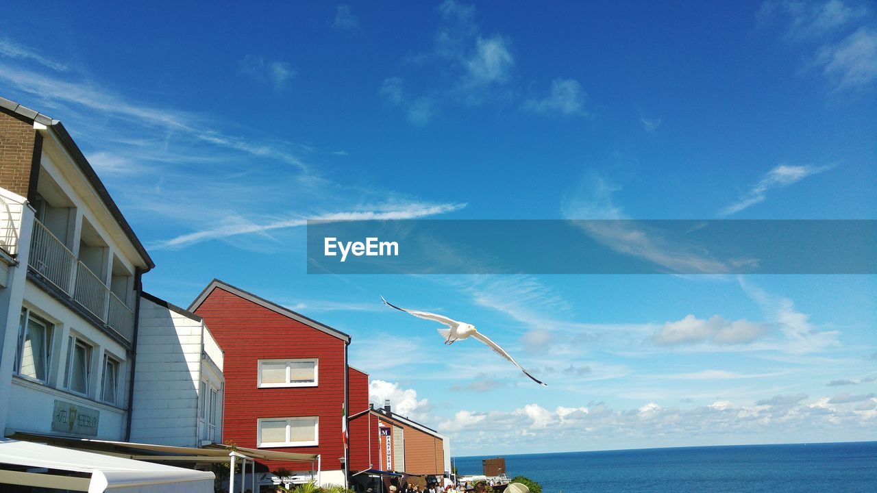 Low angle view of seagull lying by buildings against sea and sky during sunny day