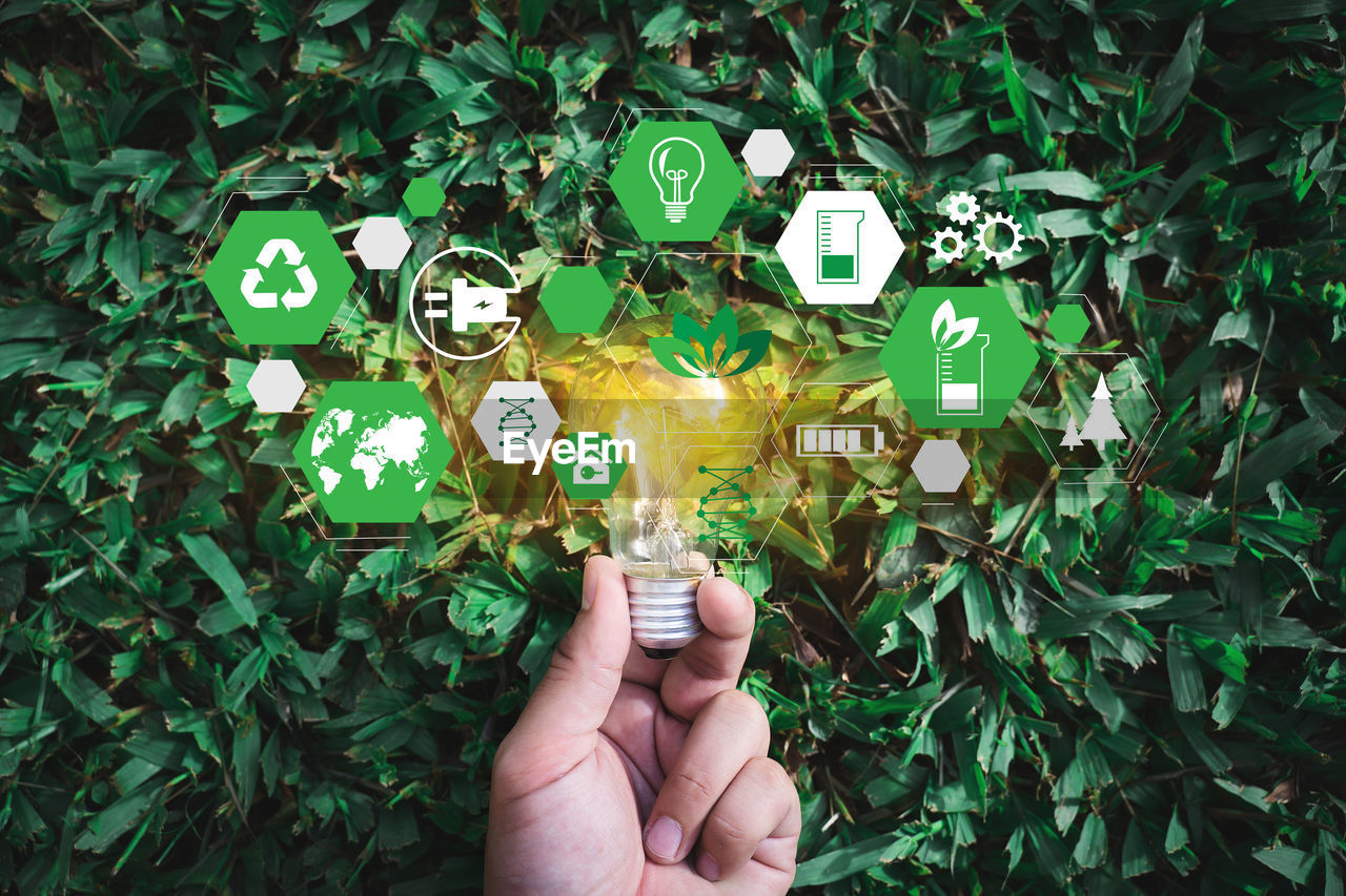 Digital composite image of symbols and hand holding light bulb against plants