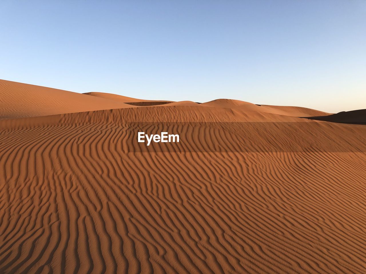 Desert in the beautiful oman