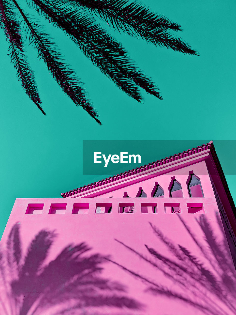 Travel concept. canary island. beach location