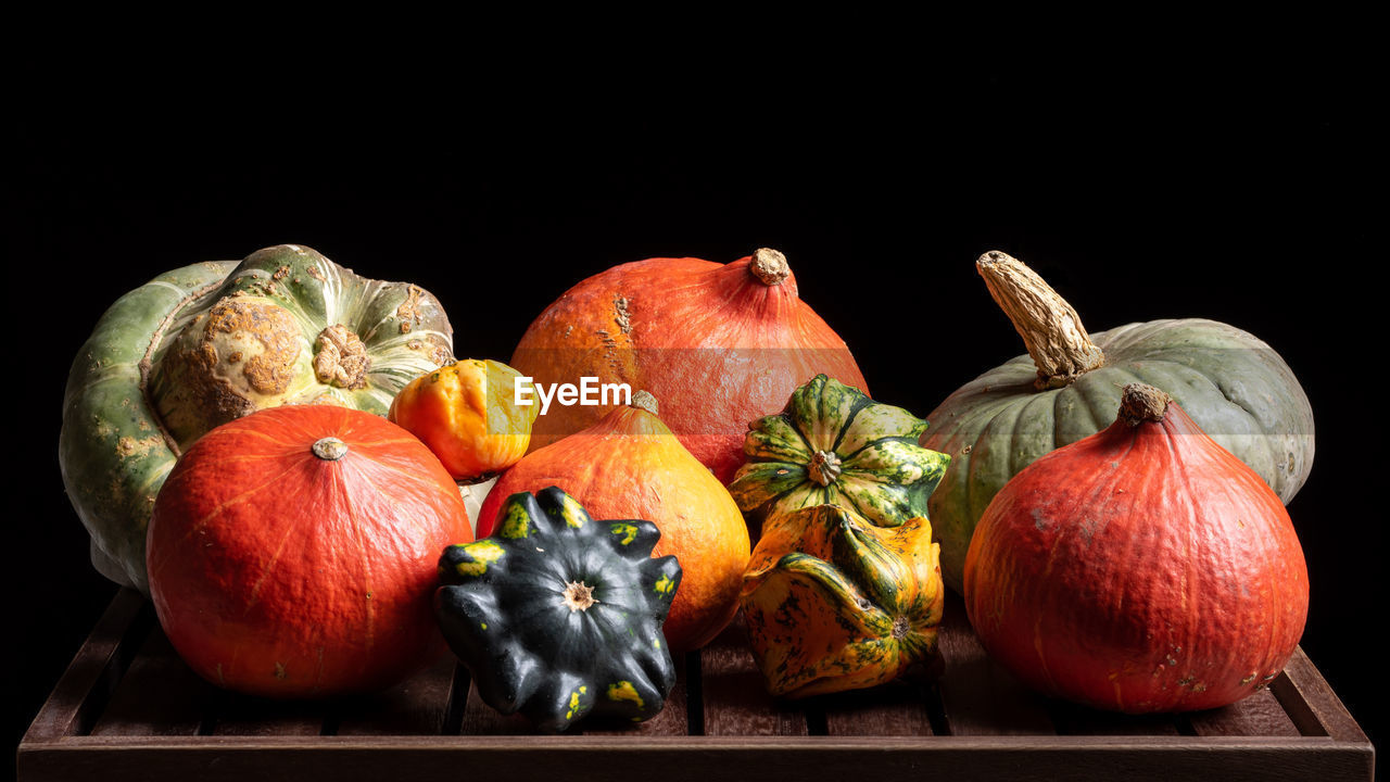 High angle view of pumpkins against black background