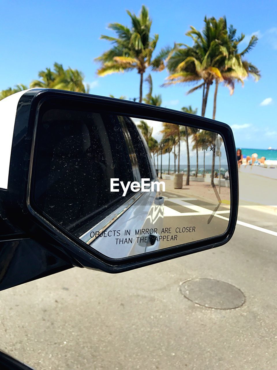 Reflection of palm trees on side-view mirror