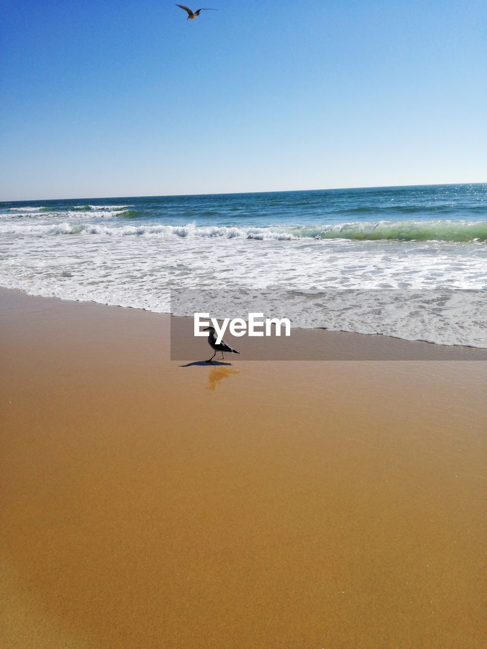 SCENIC VIEW OF BEACH