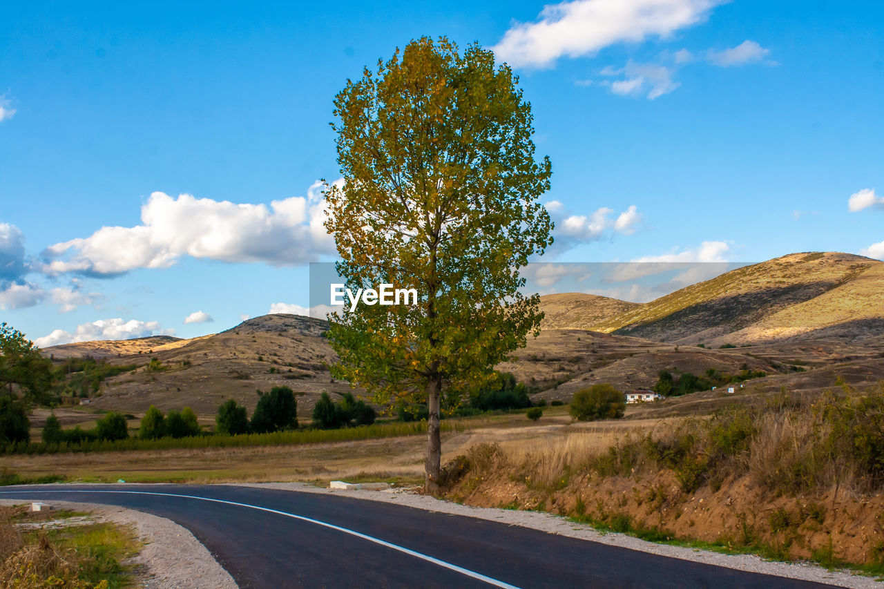 ROAD BY TREES ON MOUNTAIN AGAINST SKY
