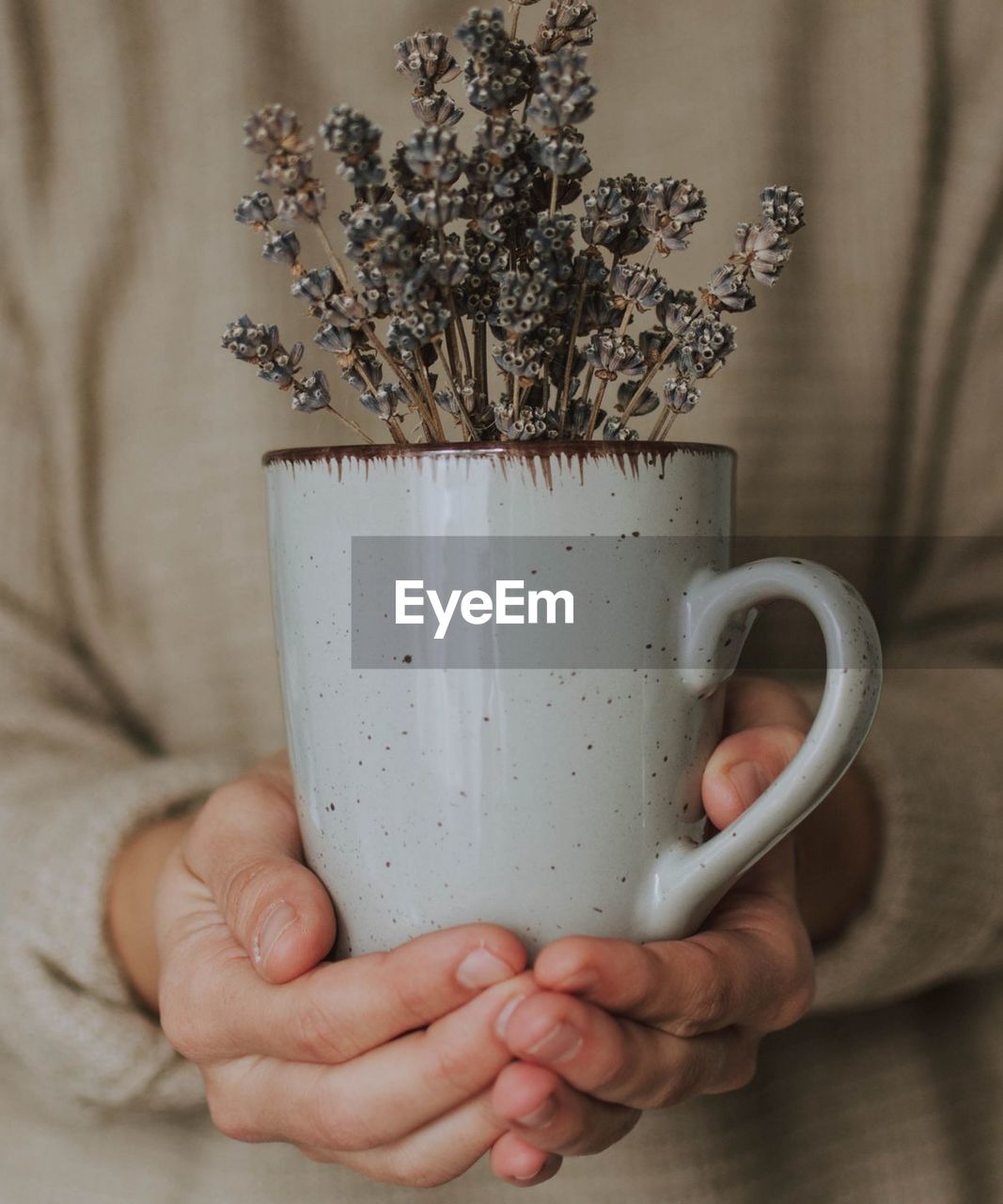 Midsection of woman holding potted plant