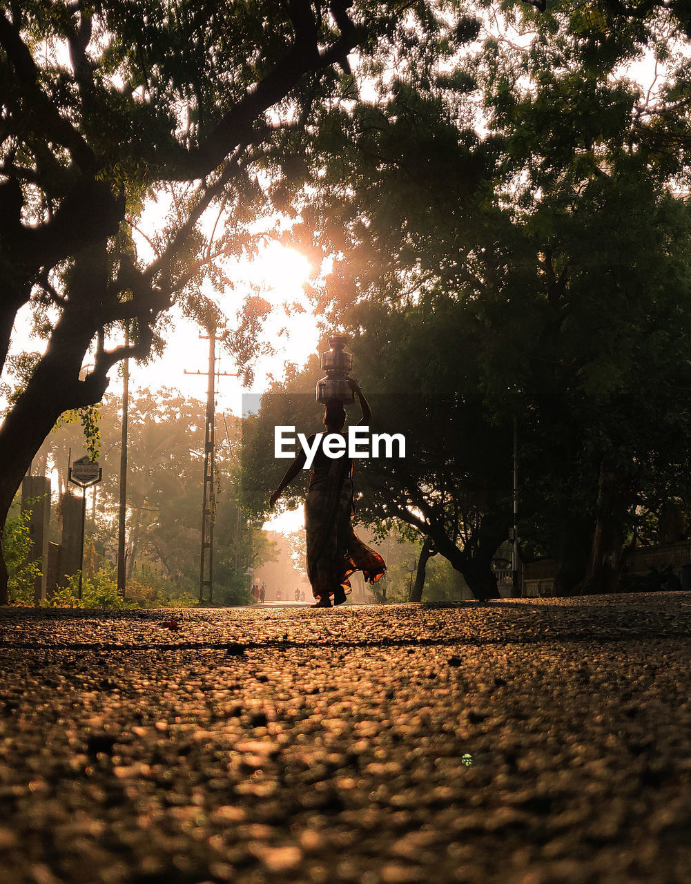 Man walking on street amidst trees in park