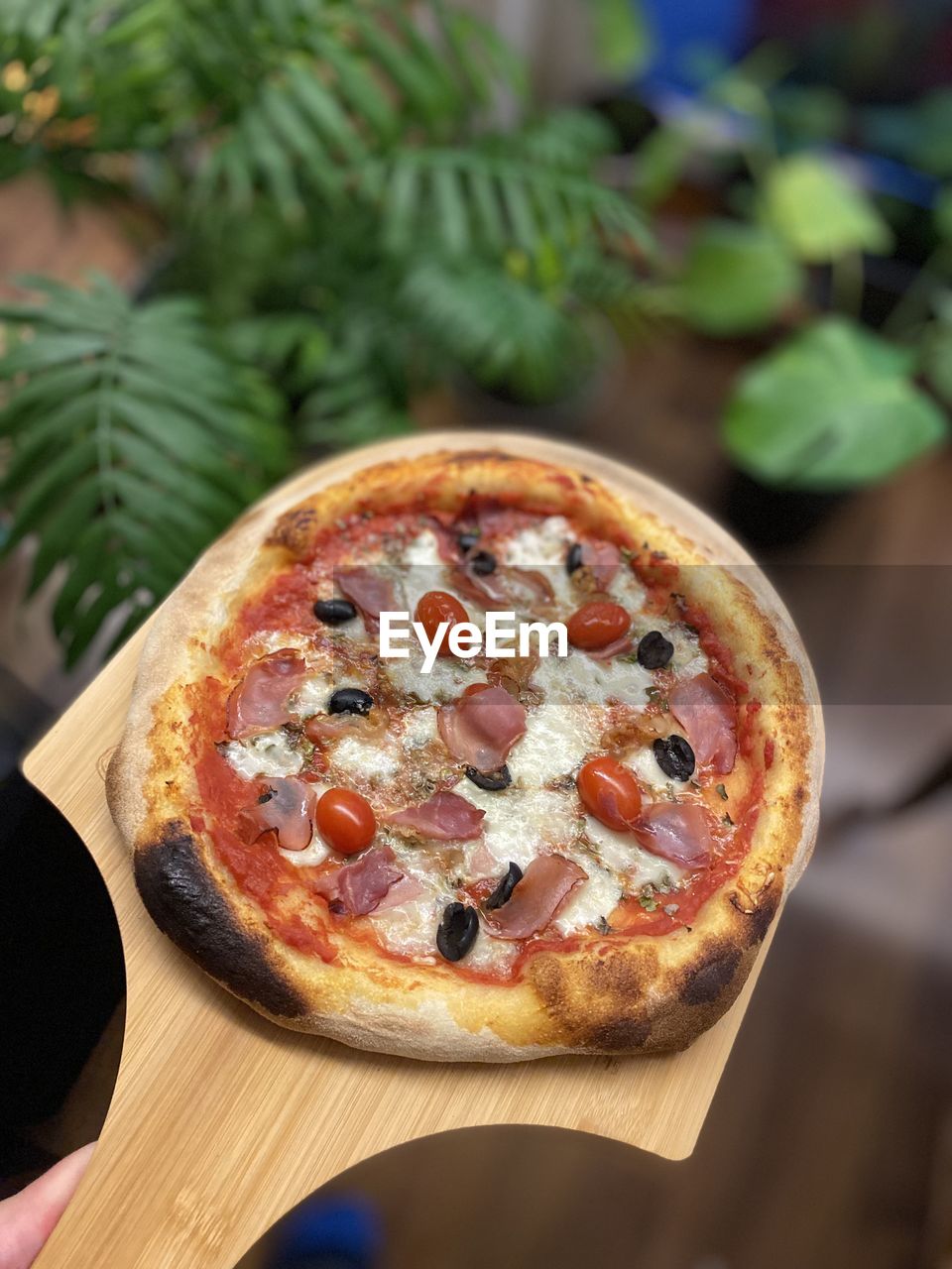 food and drink, food, pizza, fast food, dish, fruit, vegetable, freshness, healthy eating, cuisine, cheese, plant, produce, baked, dairy, herb, italian food, meal, quiche, wood, no people, dessert, high angle view, nature, table