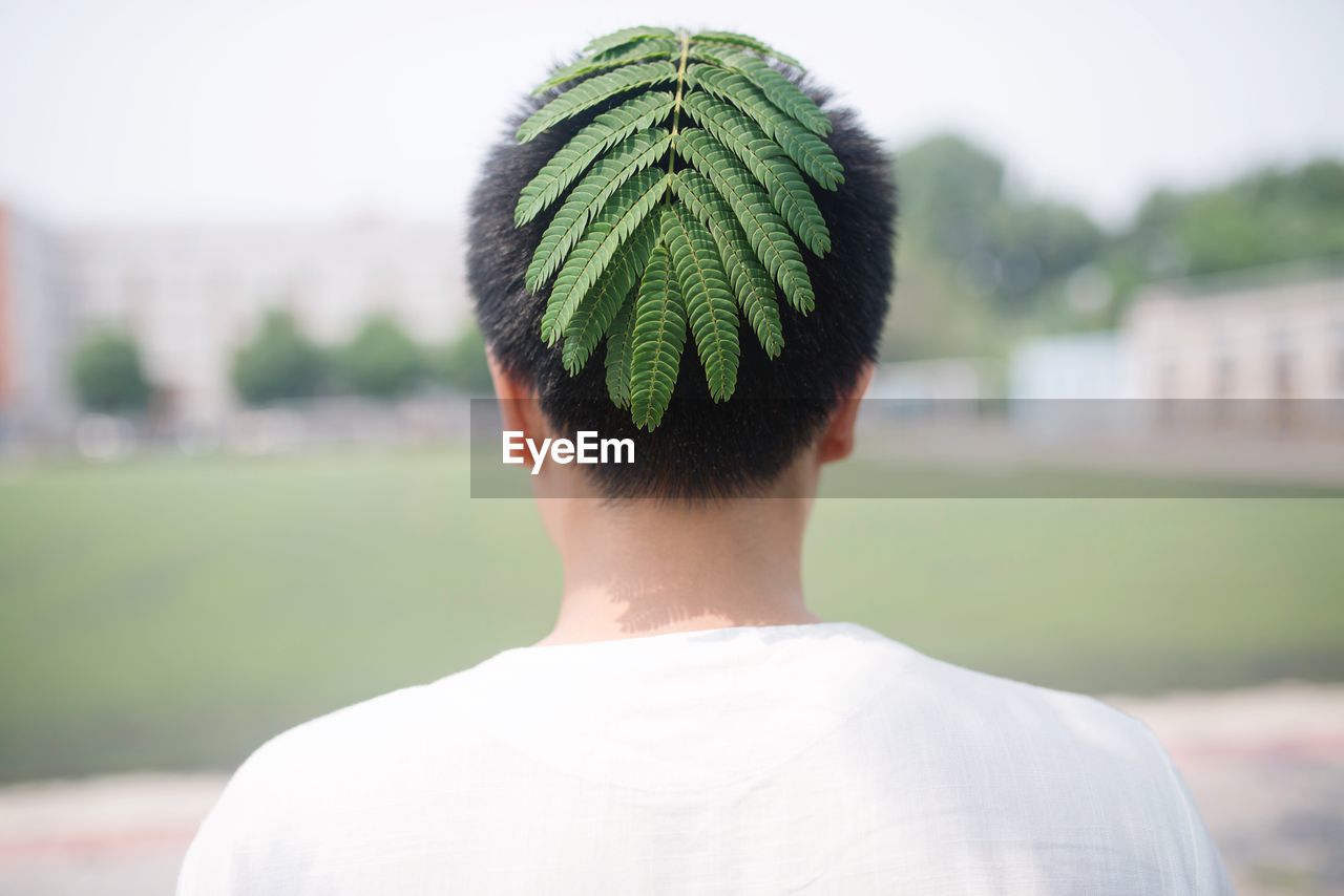 Rear view of man with fern on his head