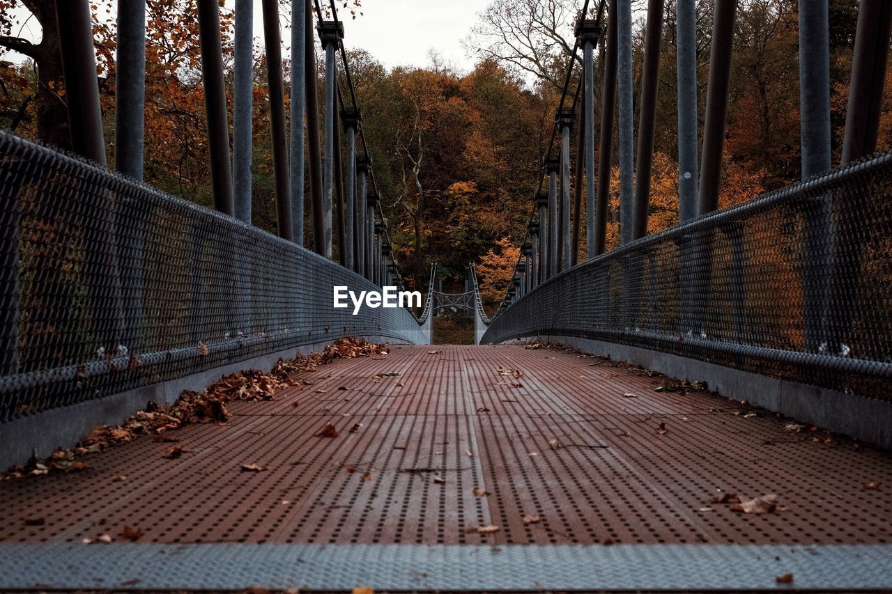 Diminishing perspective of footbridge in forest during autumn