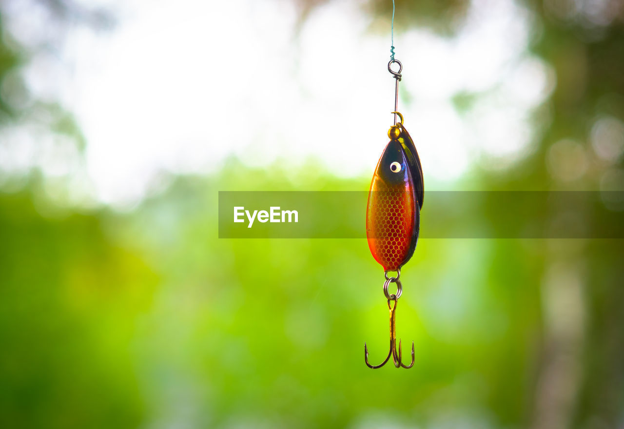 Close-up of fishing hook hanging outdoors