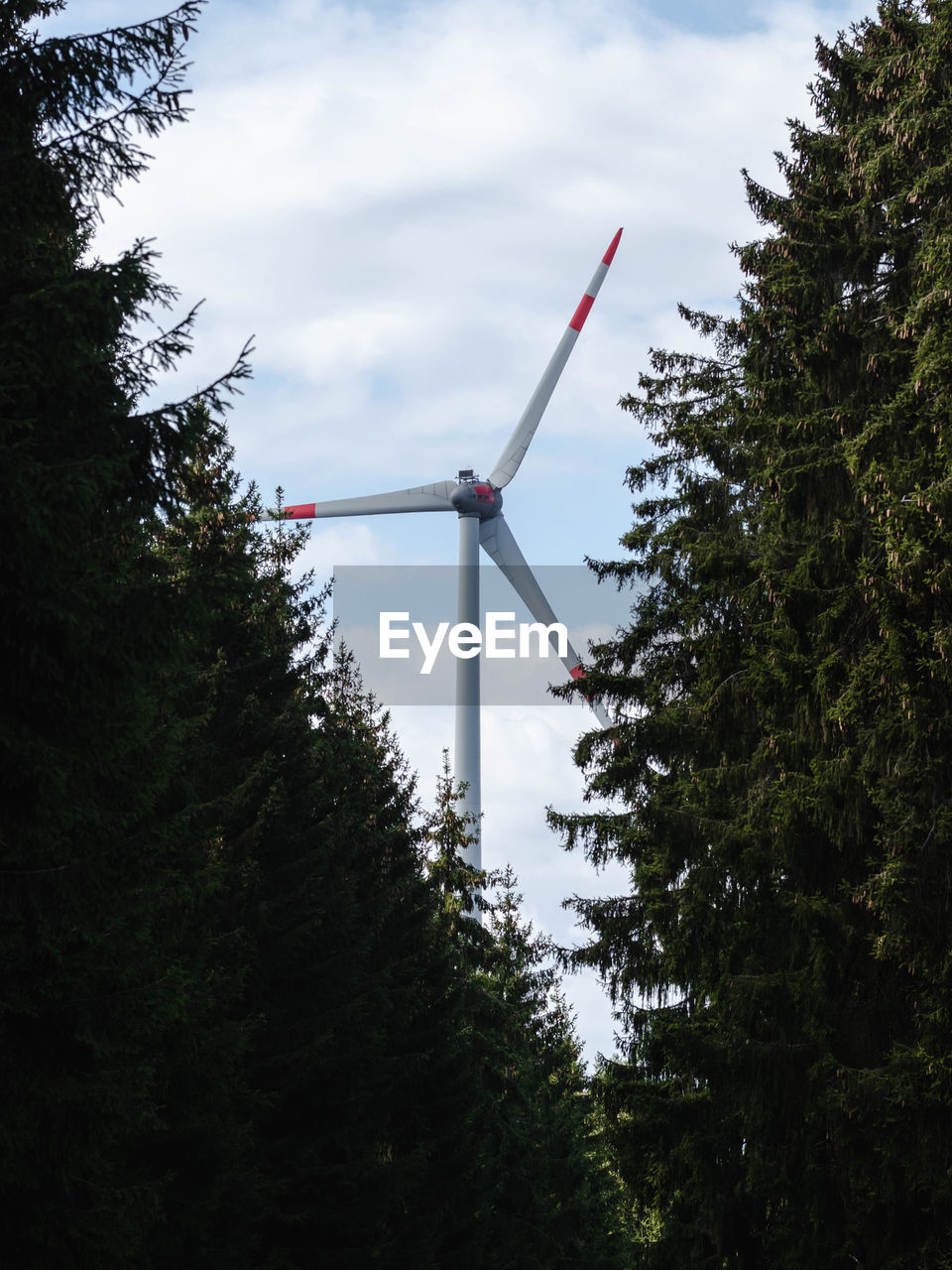 Low angle view of wind turbine and trees against sky