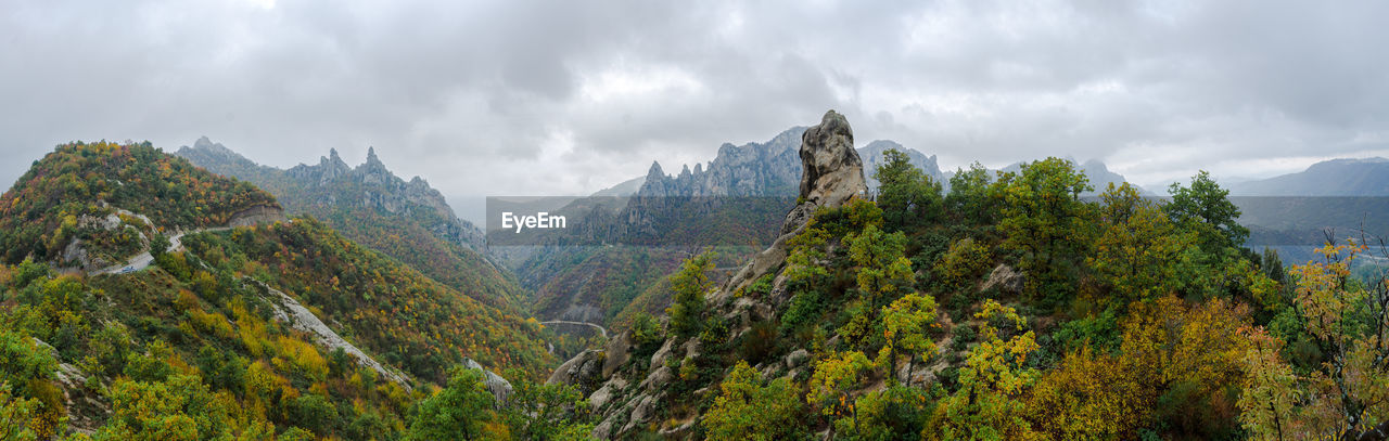 PANORAMIC VIEW OF TREES ON MOUNTAIN AGAINST SKY