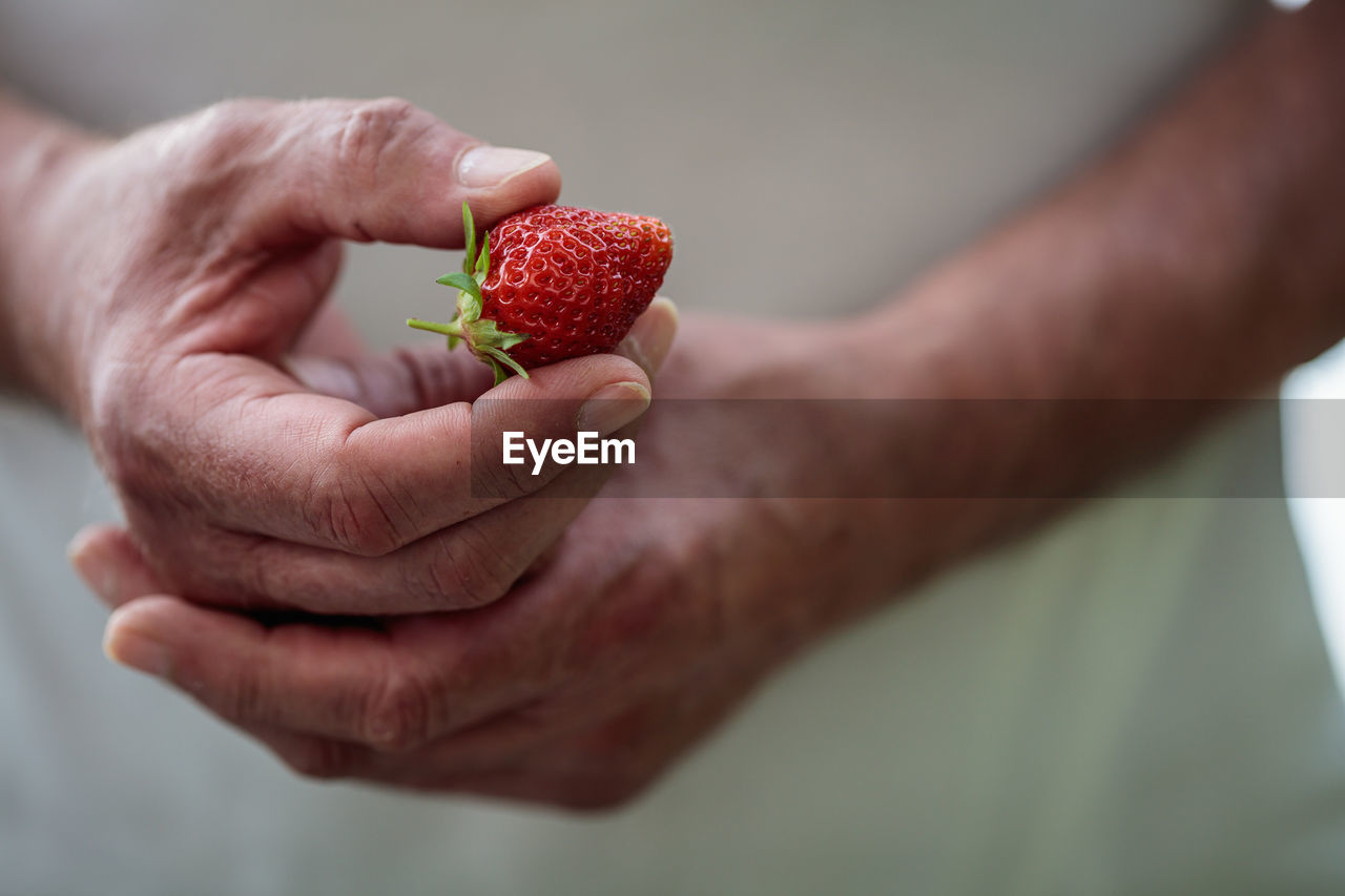 CLOSE-UP OF HAND HOLDING STRAWBERRIES