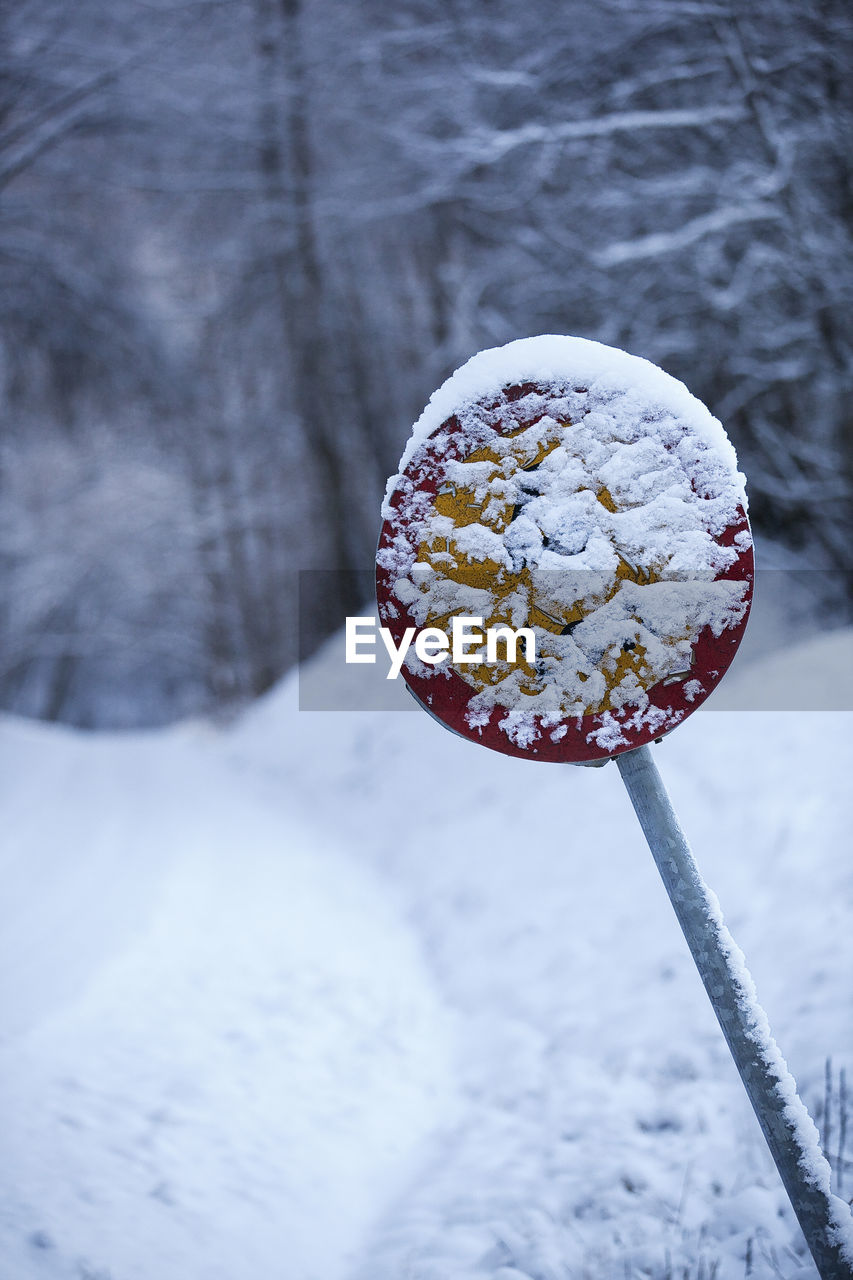 CLOSE-UP OF ICE CREAM AGAINST SNOW COVERED