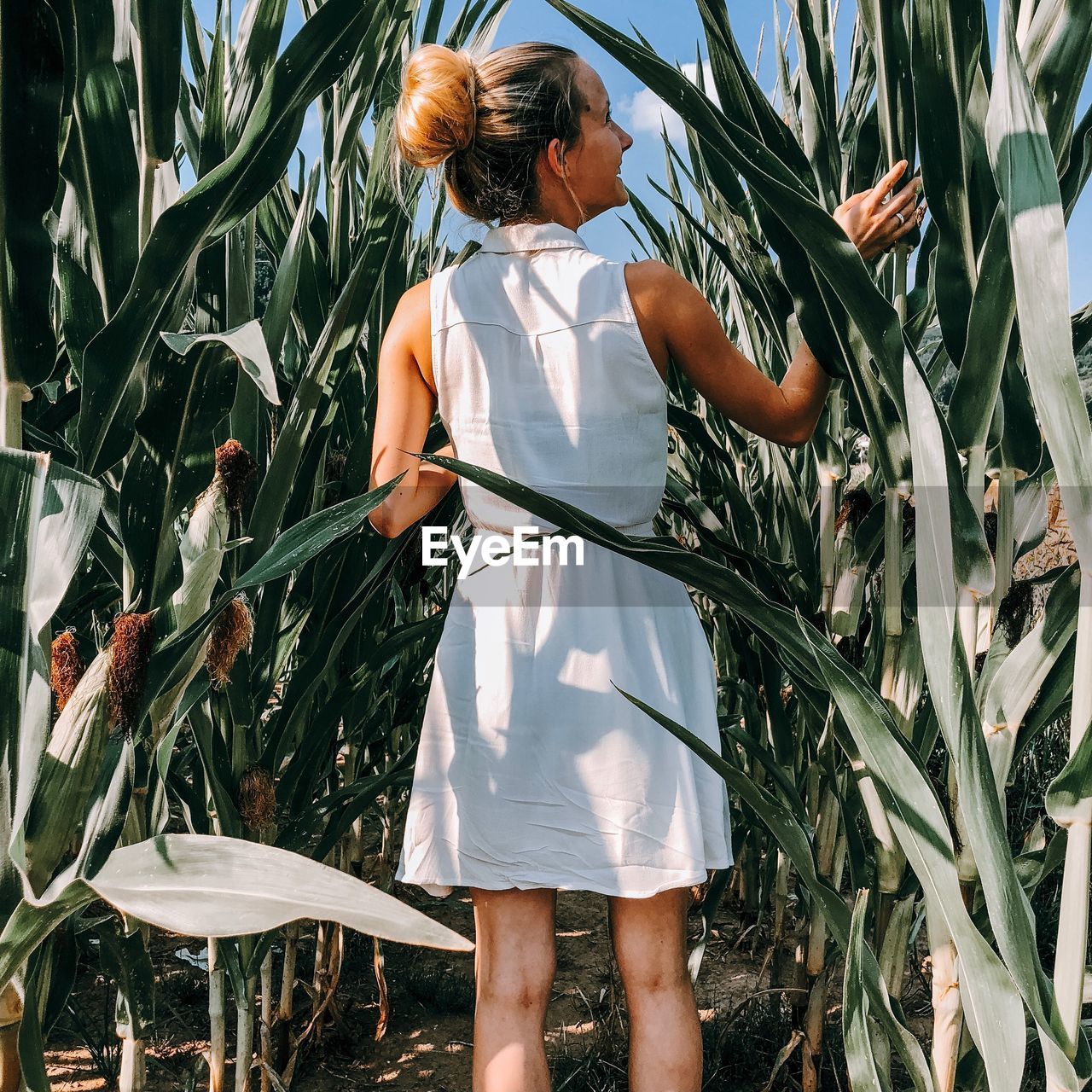 Rear view of woman standing amidst crops on field