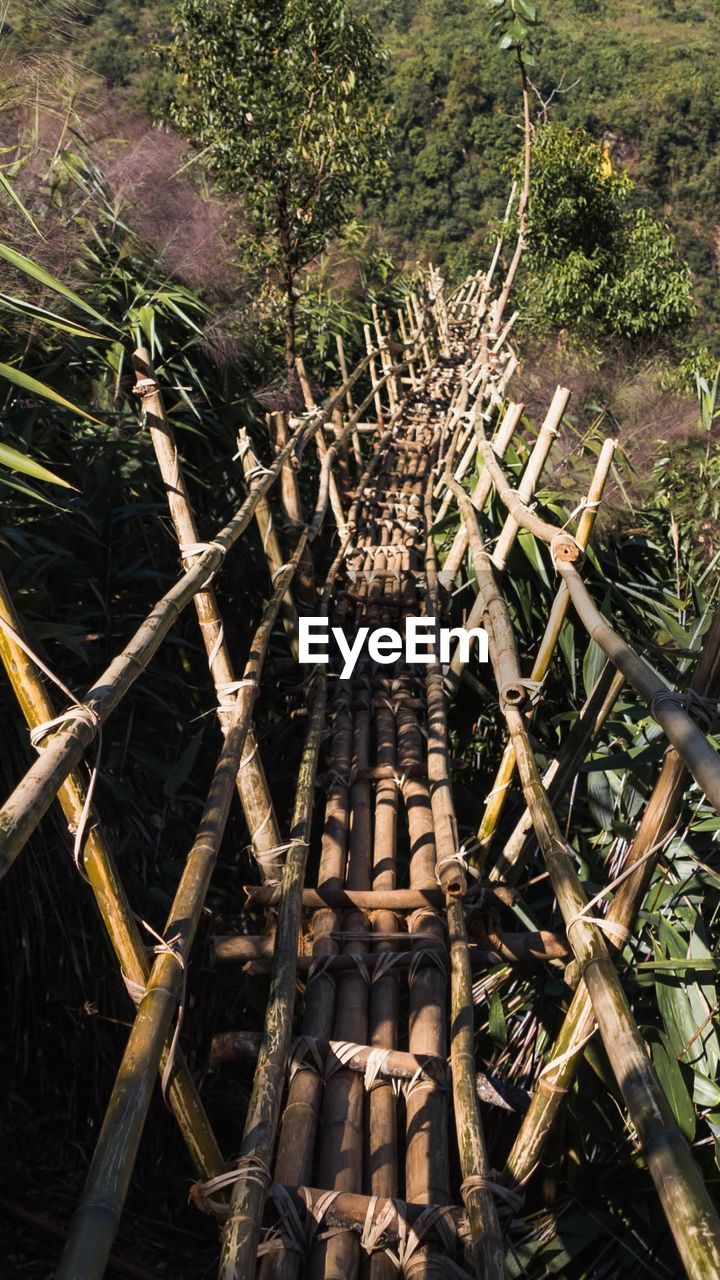 Bamboo Bridges At Wahkhen Sunny Day Treeking Trails On Eyeem