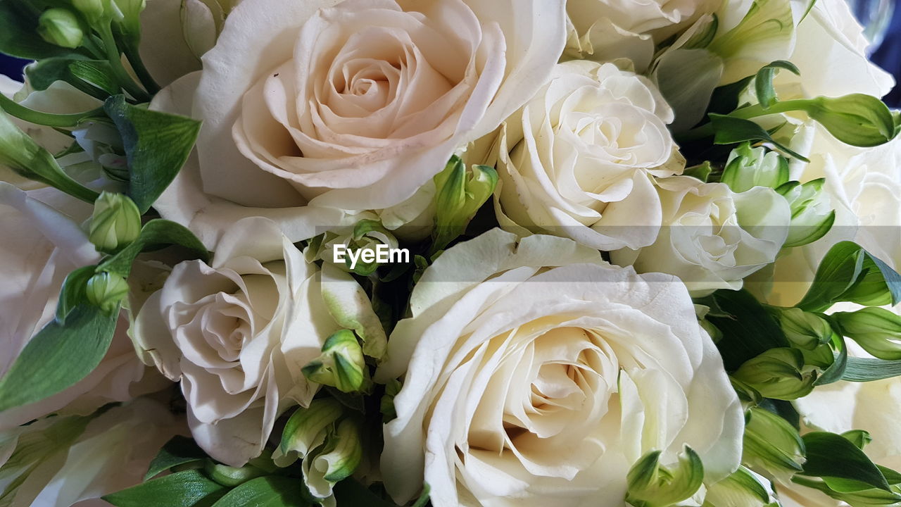 HIGH ANGLE VIEW OF ROSE BOUQUET ON WHITE ROSES
