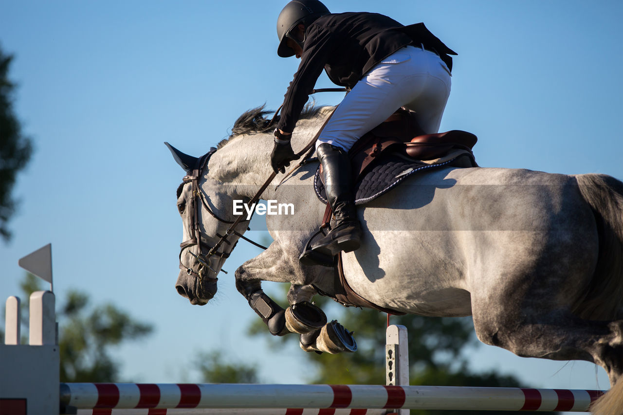 Full length of jockey jumping horse over hurdles against sky